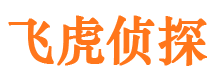 樟树侦探公司